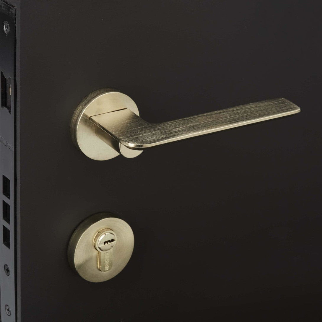 Brass entrance door handle Mucheln on black