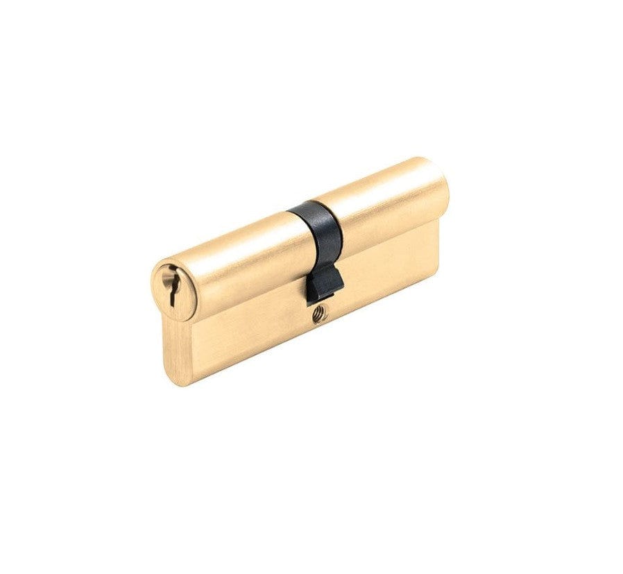 double euro cylinder brushed brass