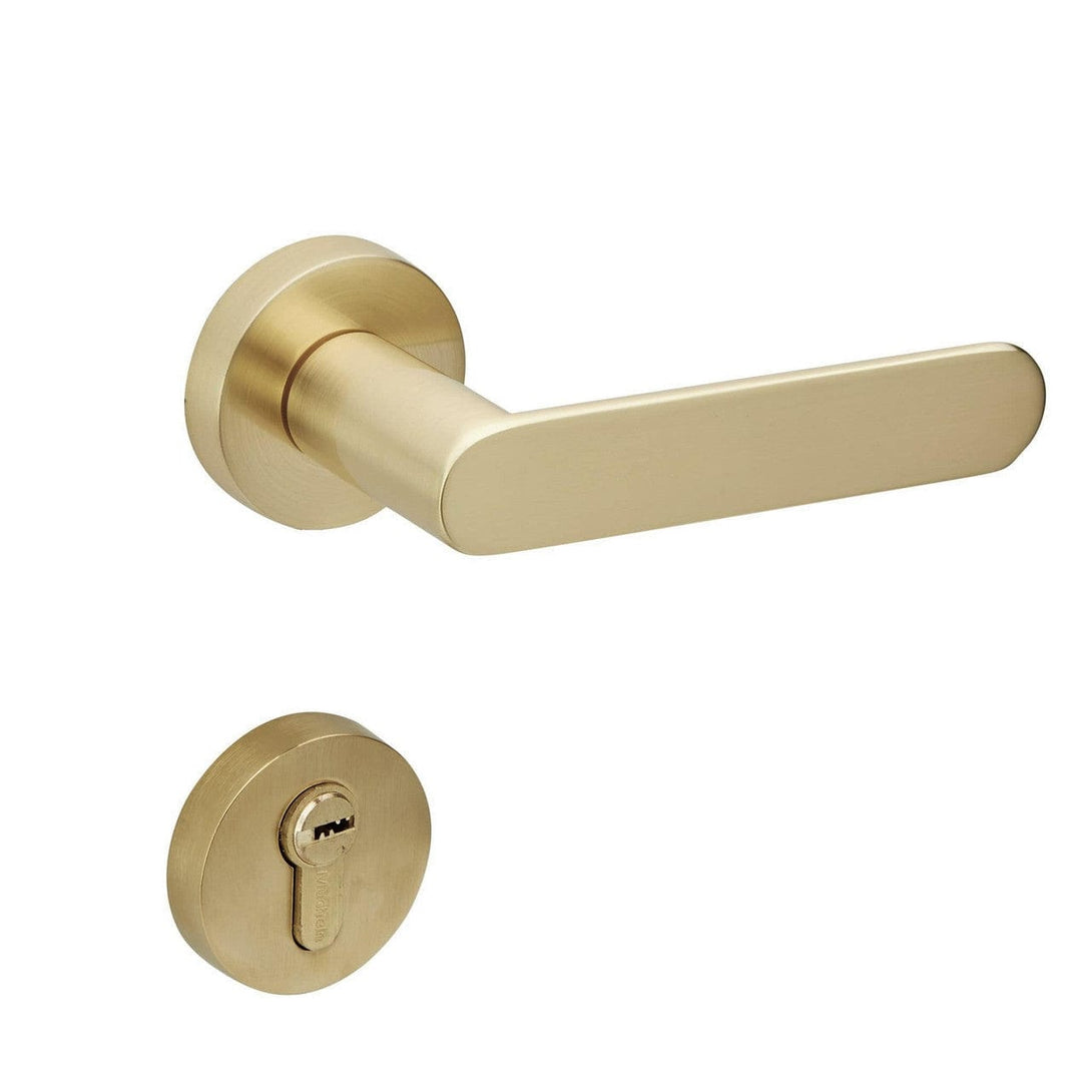 Brushed Brass Entrance Handle